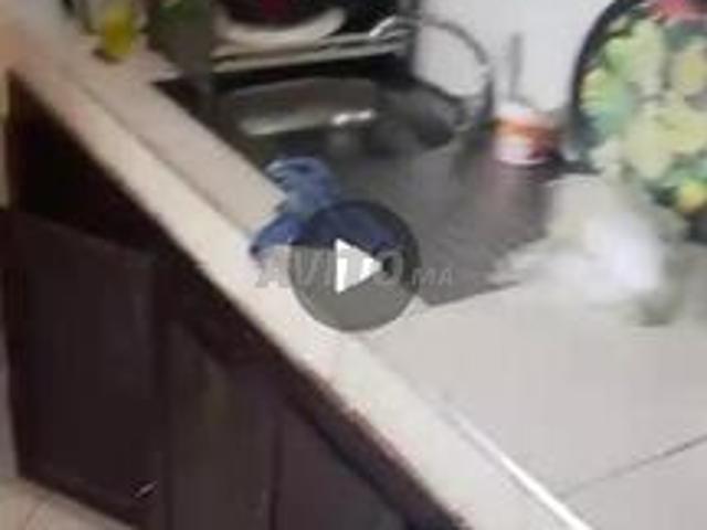 Appartement vente à Marrakech, L'Oriental