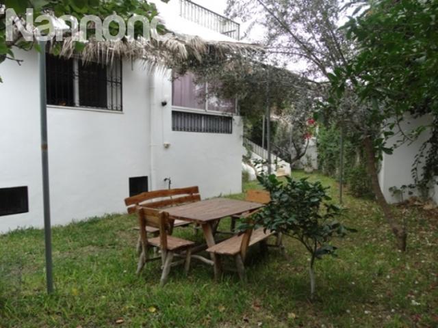 Appartement vente