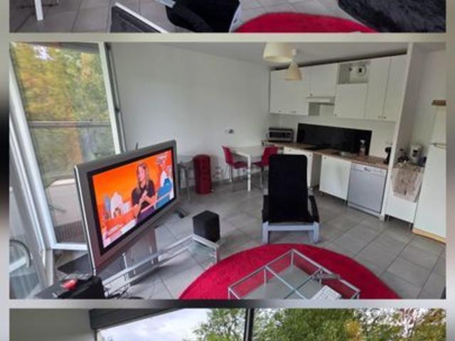 Appartement location à Albigny-sur-Saône, Rhône