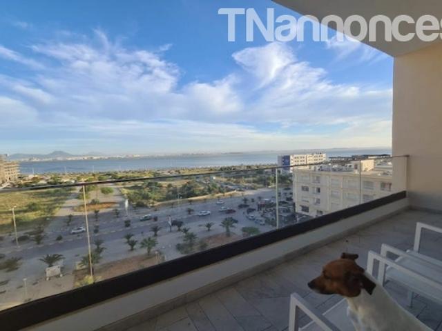 Appartement vente