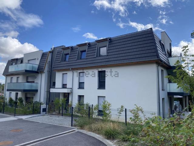Appartement location à Altkirch, Collectivité européenne d'Alsace