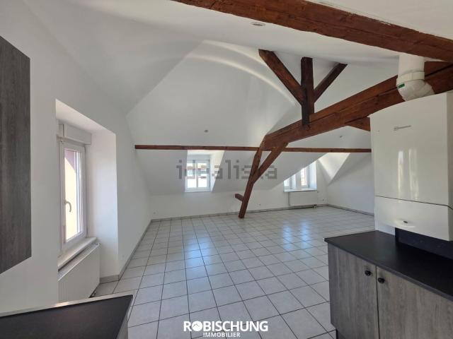 Appartement location à Saint-Morand, Altkirch