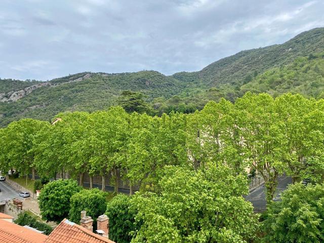 Appartement vente à Palalda, Amélie-les-Bains-Palalda