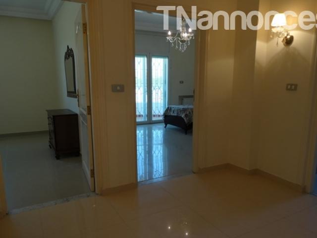 Appartement vente