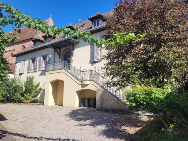 Appartement vente à Kientzheim, Ammerschwihr