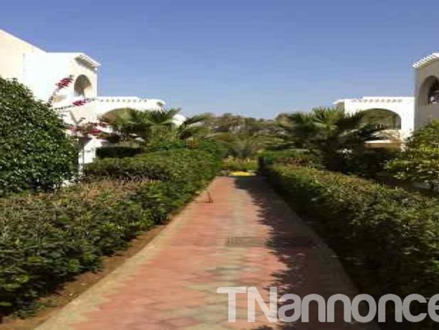 Appartement vente