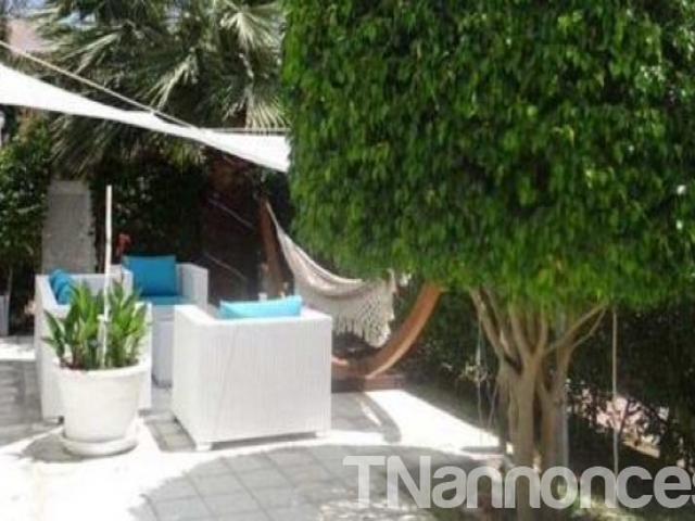 Appartement vente