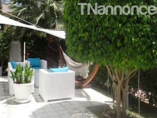 Appartement vente