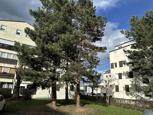 Appartement vente à Andrézieux-Bouthéon, Loire