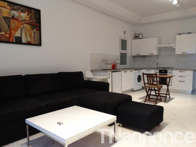 Appartement location