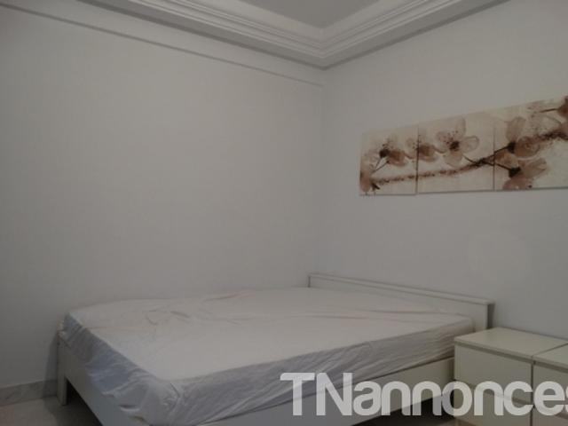 Appartement location