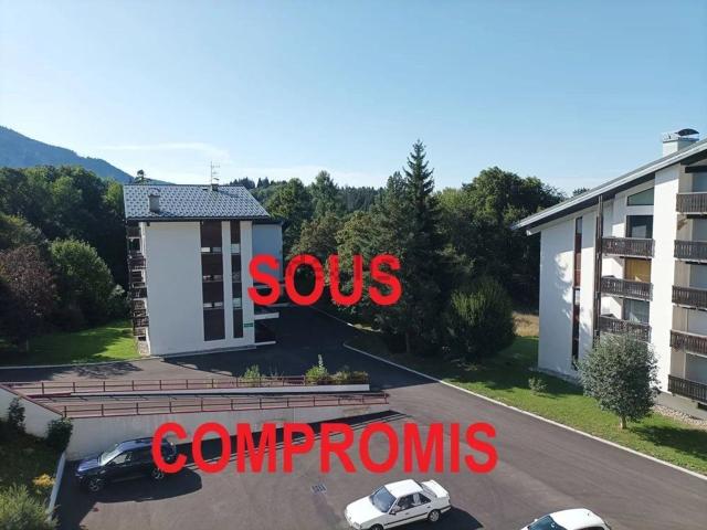 Appartement vente à Les Carroz, Arâches-la-Frasse