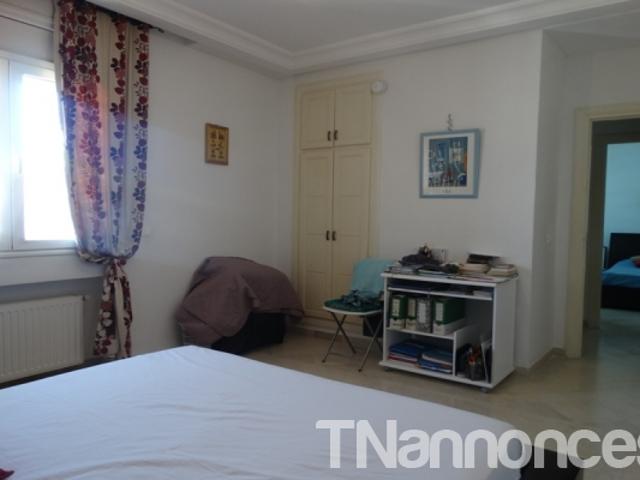 Appartement location