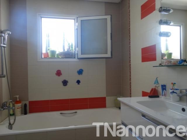 Appartement vente