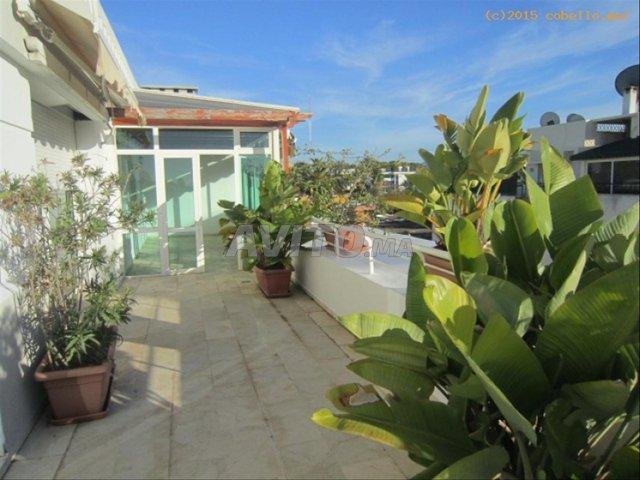 Appartement location