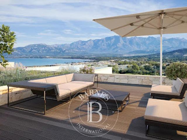 Appartement vente à Calvi