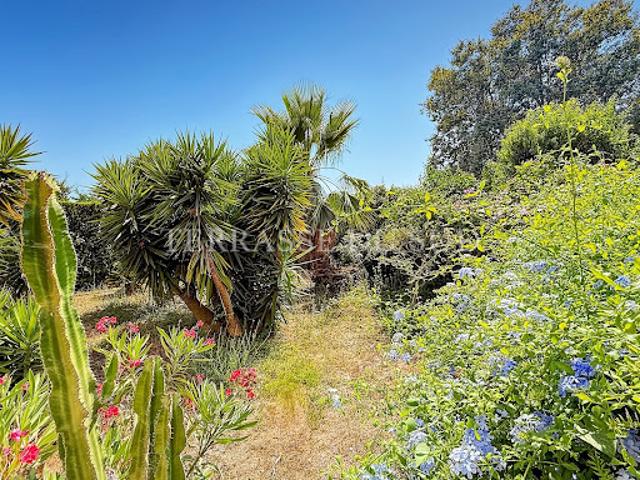Appartement vente à Marseille
