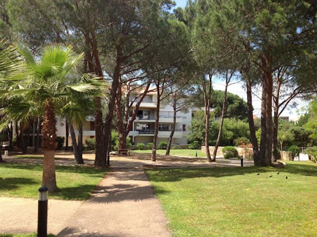 Appartement vente à Calvi