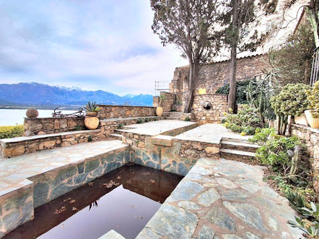 Appartement vente à Calvi