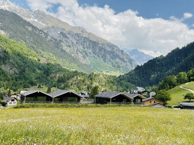 Wohnung kaufen in Champsec, Wallis