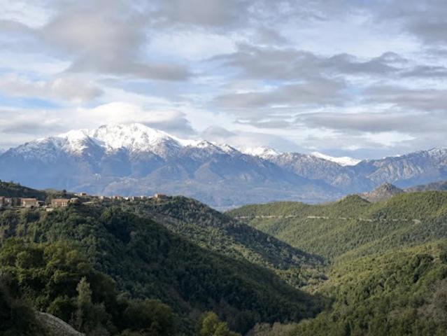 Appartement vente à Corte, Mazzola