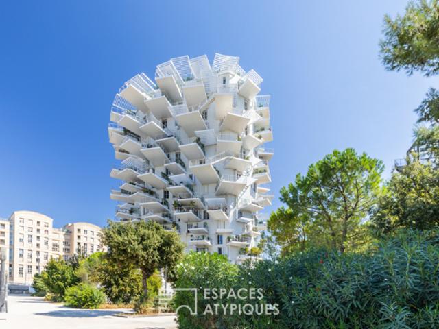 Appartement vente à Montpellier