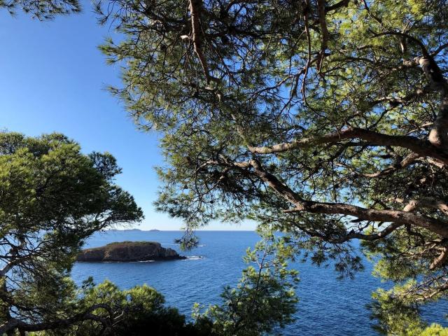 Appartement location à Les Engraviers, Bandol
