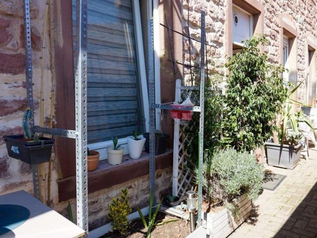 Appartement vente à Barr, Collectivité européenne d'Alsace