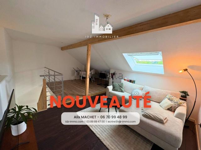Appartement vente à Rodenfeld, Bartenheim