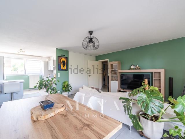 Appartement vente à Bartenheim, Collectivité européenne d'Alsace