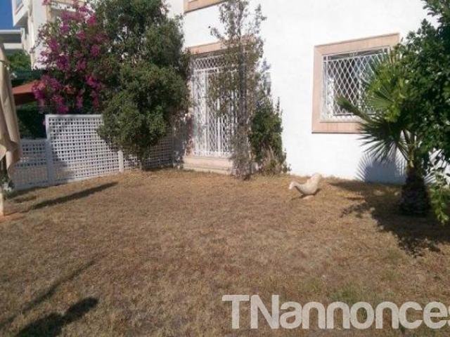 Appartement vente