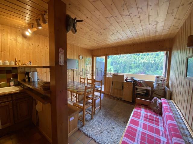 Appartement vente à La Chèvrerie, Bellevaux