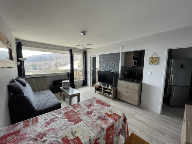 Appartement vente à Besse, Besse-et-Saint-Anastaise