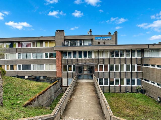 Appartement vente à Besse, Besse-et-Saint-Anastaise