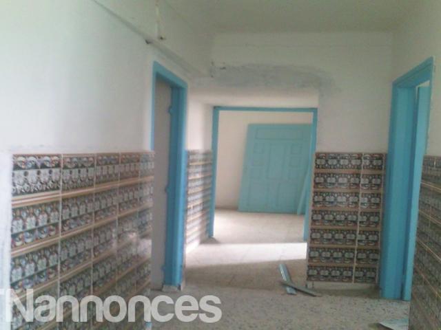 Appartement location