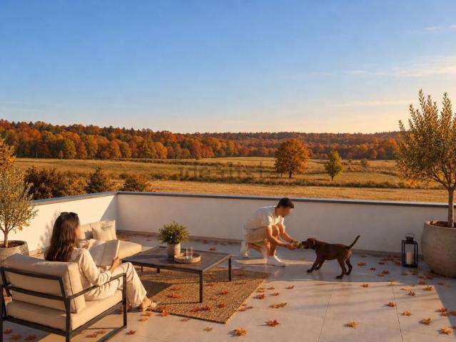 Appartement vente à Blotzheim, Collectivité européenne d'Alsace