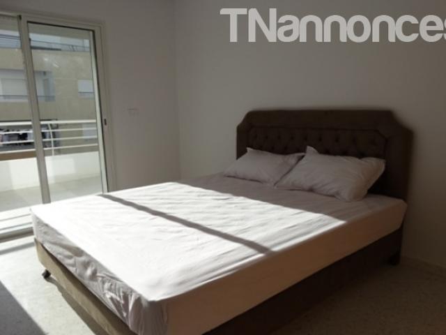 Appartement location