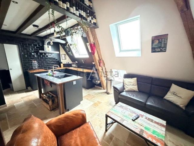 Appartement vente à Quartier Avaricum, Bourges