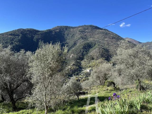 Appartement vente à La Giandola de Breil, Breil-sur-Roya