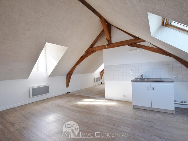 Appartement location à Angers, Brissac-quincé