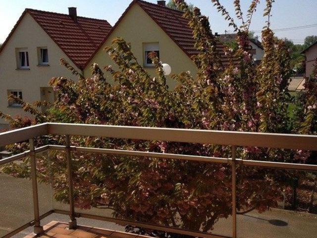 Appartement vente à Brumath, Collectivité européenne d'Alsace