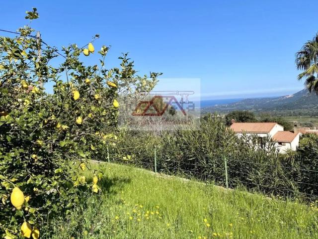 Appartement location à Calenzana, Haute-Corse