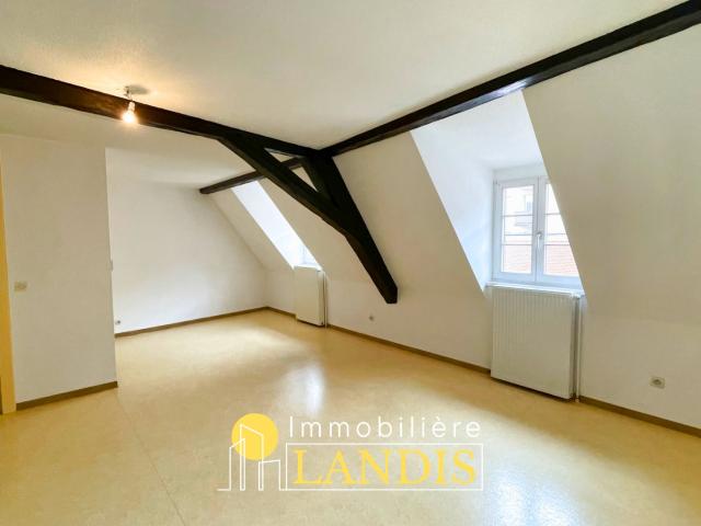 Appartement location à Sélestat-Erstein, Sélestat