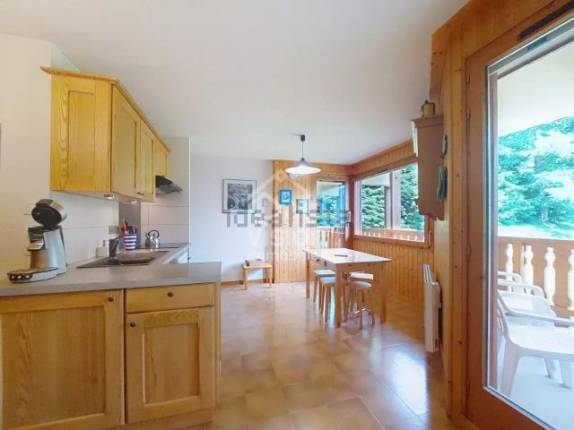 Appartement vente à Le Tenne, Châtel