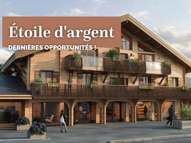 Appartement vente à La Chaumière, Châtel