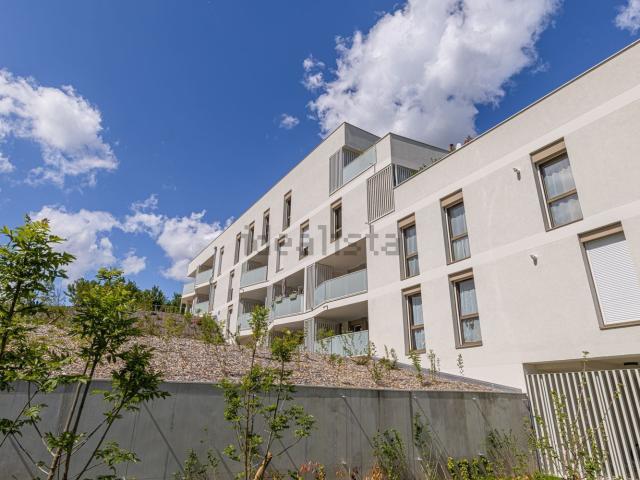Appartement vente à Forneyra, Chavanod