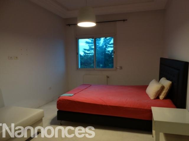 Appartement location