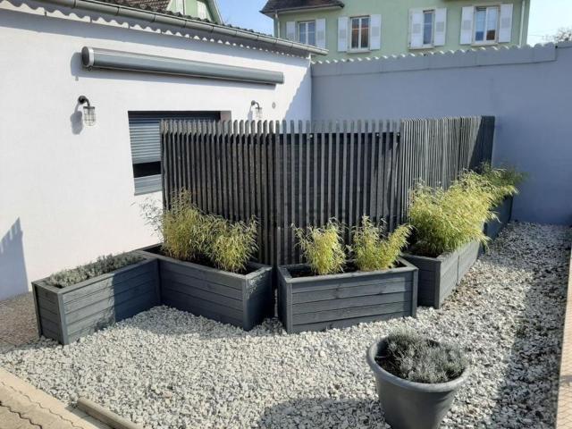 Appartement location à Colmar, Collectivité européenne d'Alsace