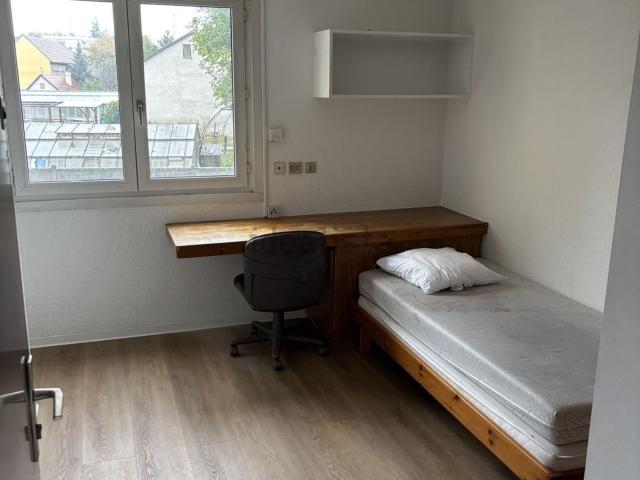 Appartement location à Colmar, Collectivité européenne d'Alsace
