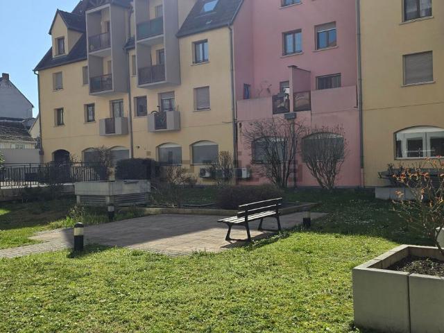 Appartement vente à Colmar, Collectivité européenne d'Alsace